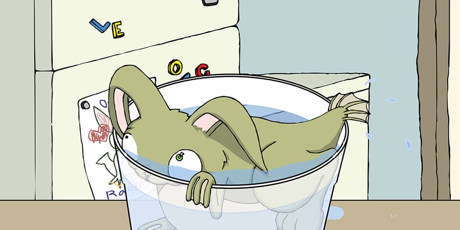 The-Origin-of-Ocean-Rabbit