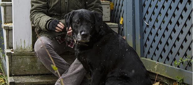 Dawg short film