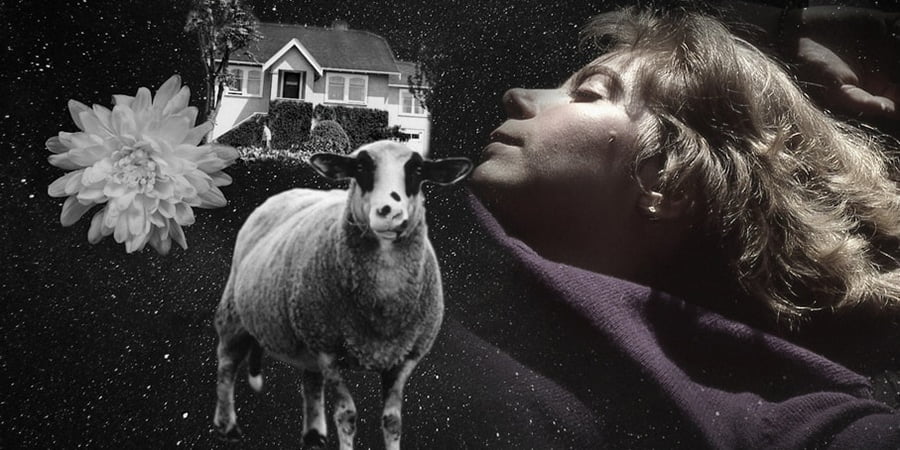Dreams of the Dead short film