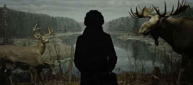 Hive short film