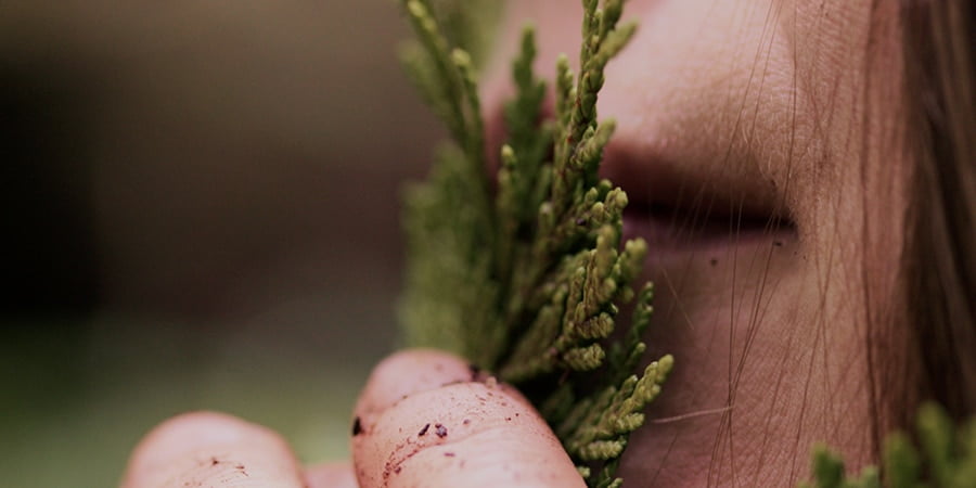 Solastalgia short film