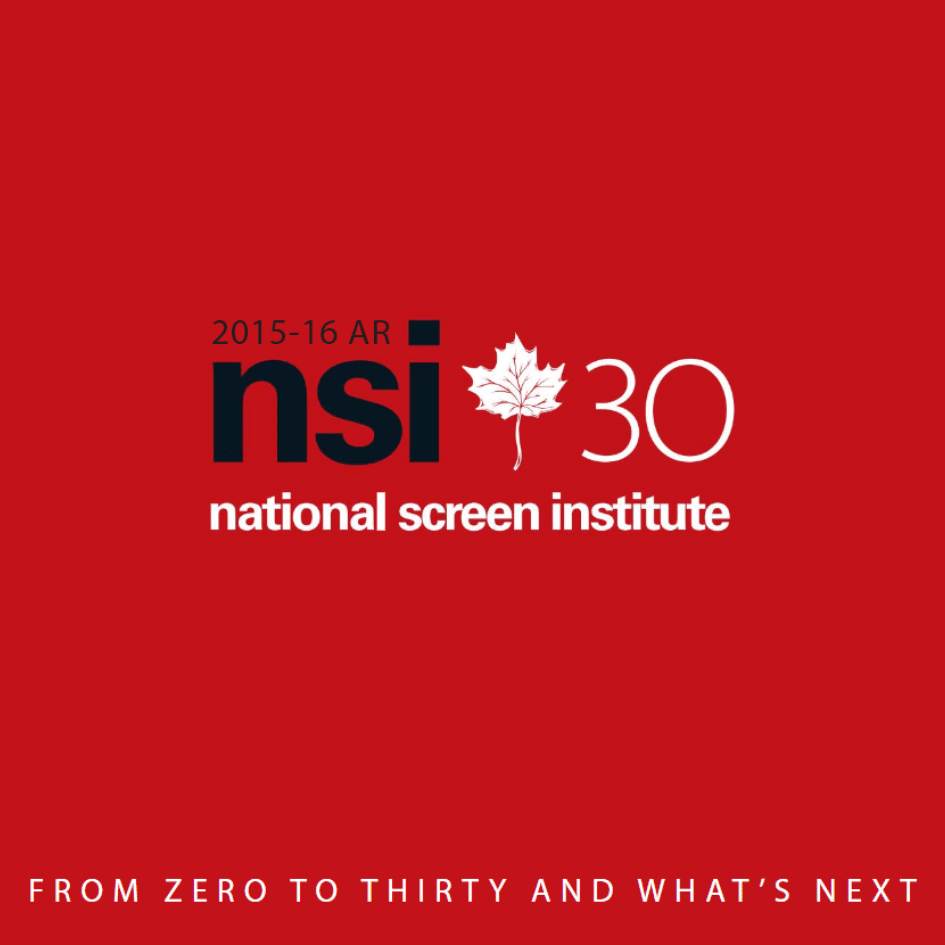 NSI annual report 15 / 16