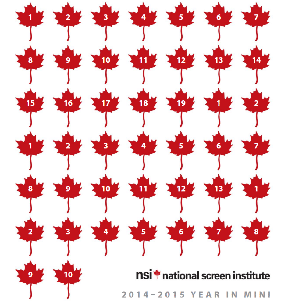 NSI annual report 14 / 15