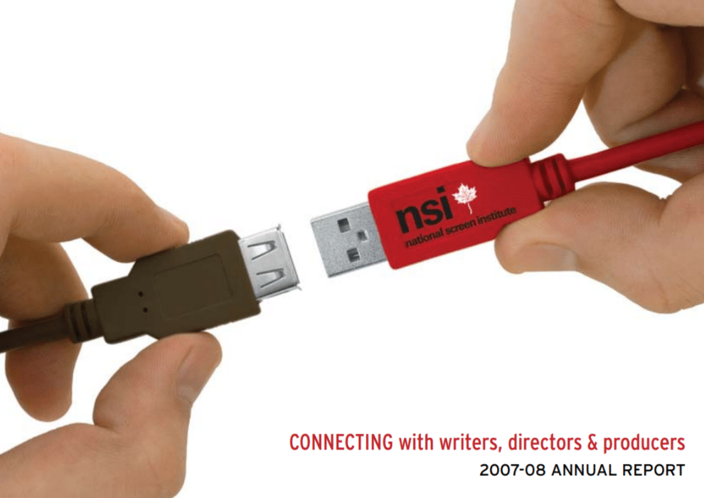 NSI annual report 07 / 08
