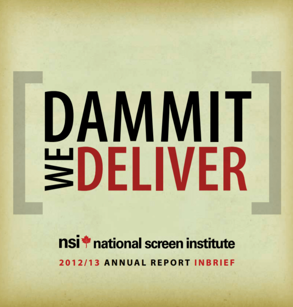 NSI annual report 12 / 13