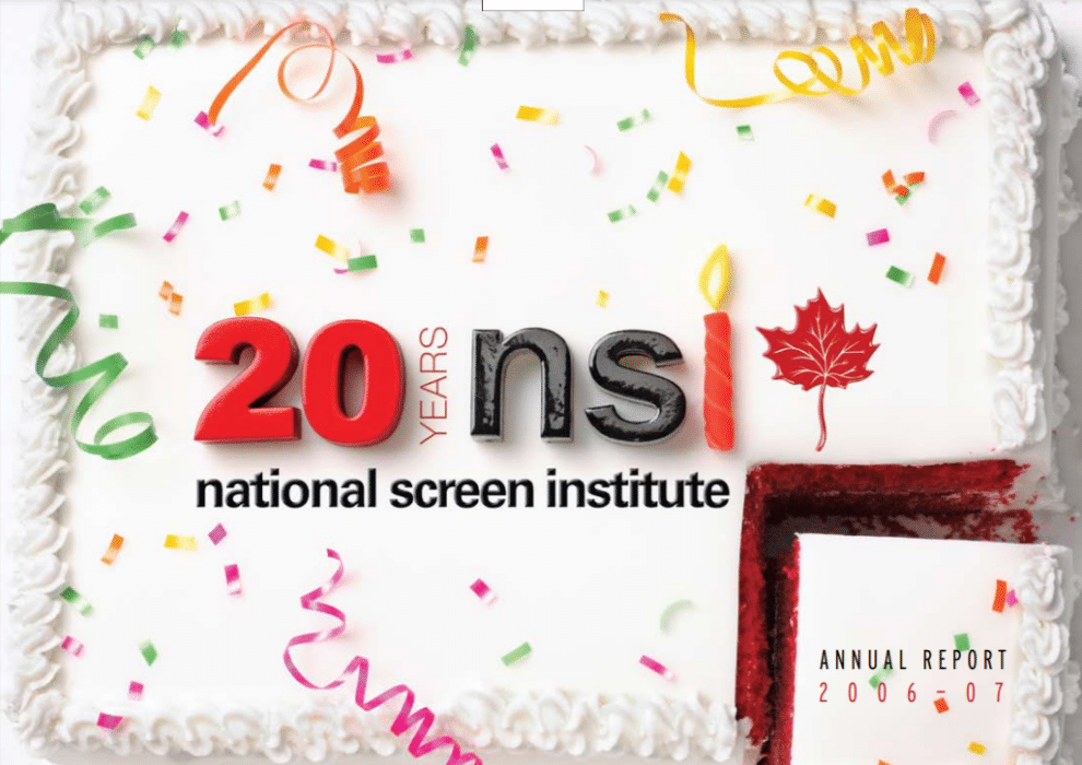 NSI annual report 06 / 07