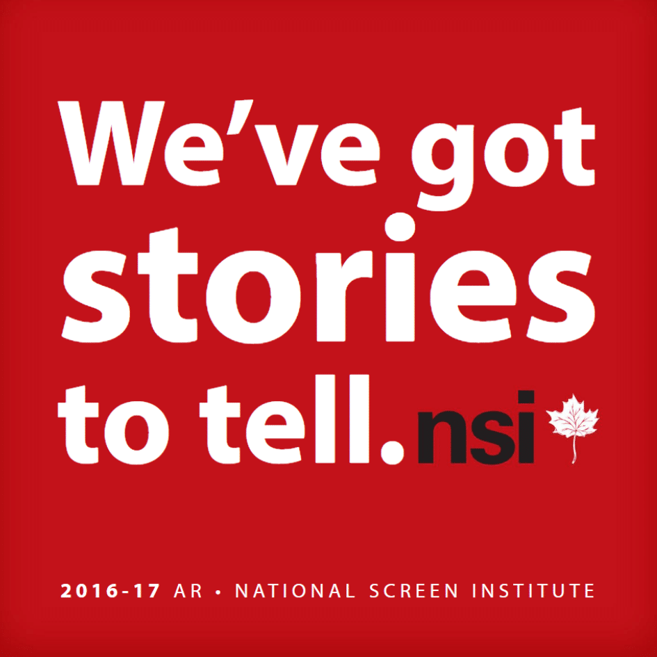 NSI annual report 16 / 17