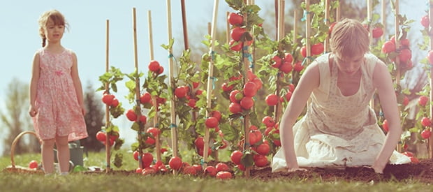 flutter short film